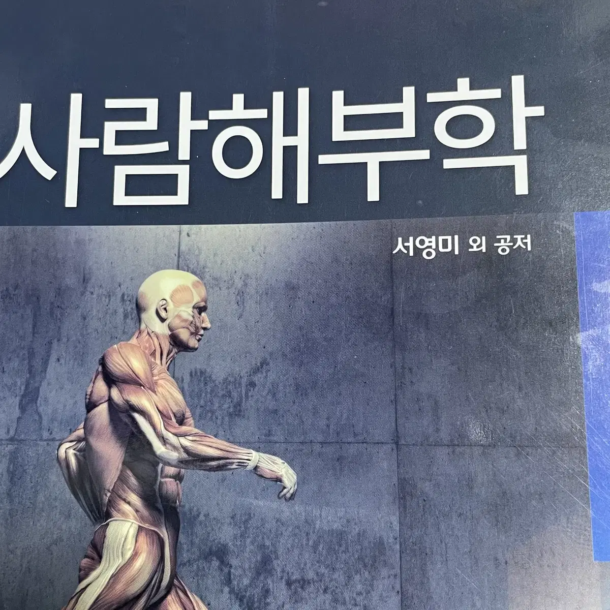 수문사 사람해부학