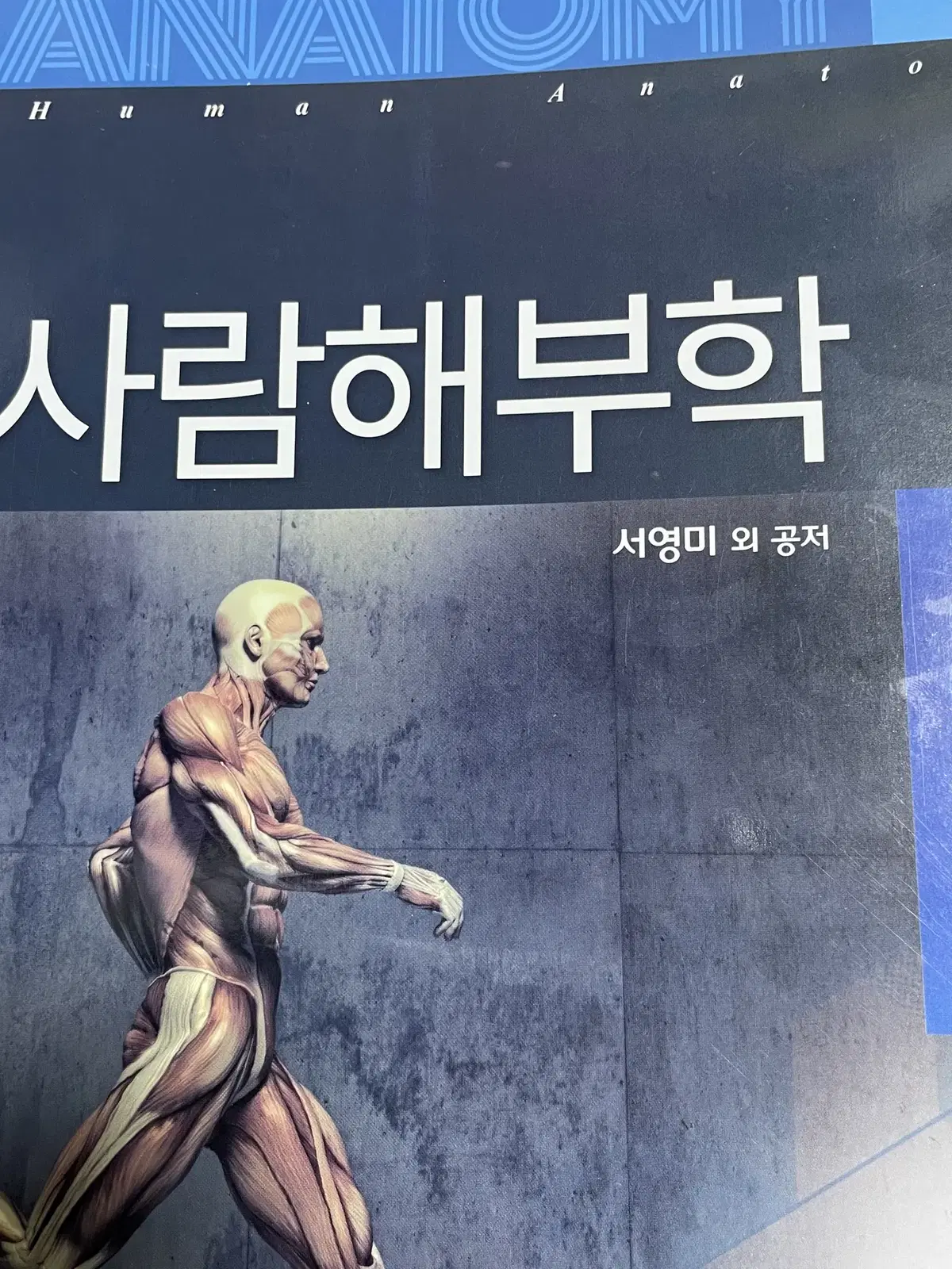 수문사 사람해부학