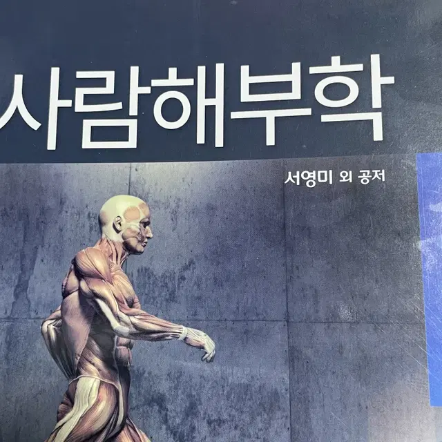 수문사 사람해부학