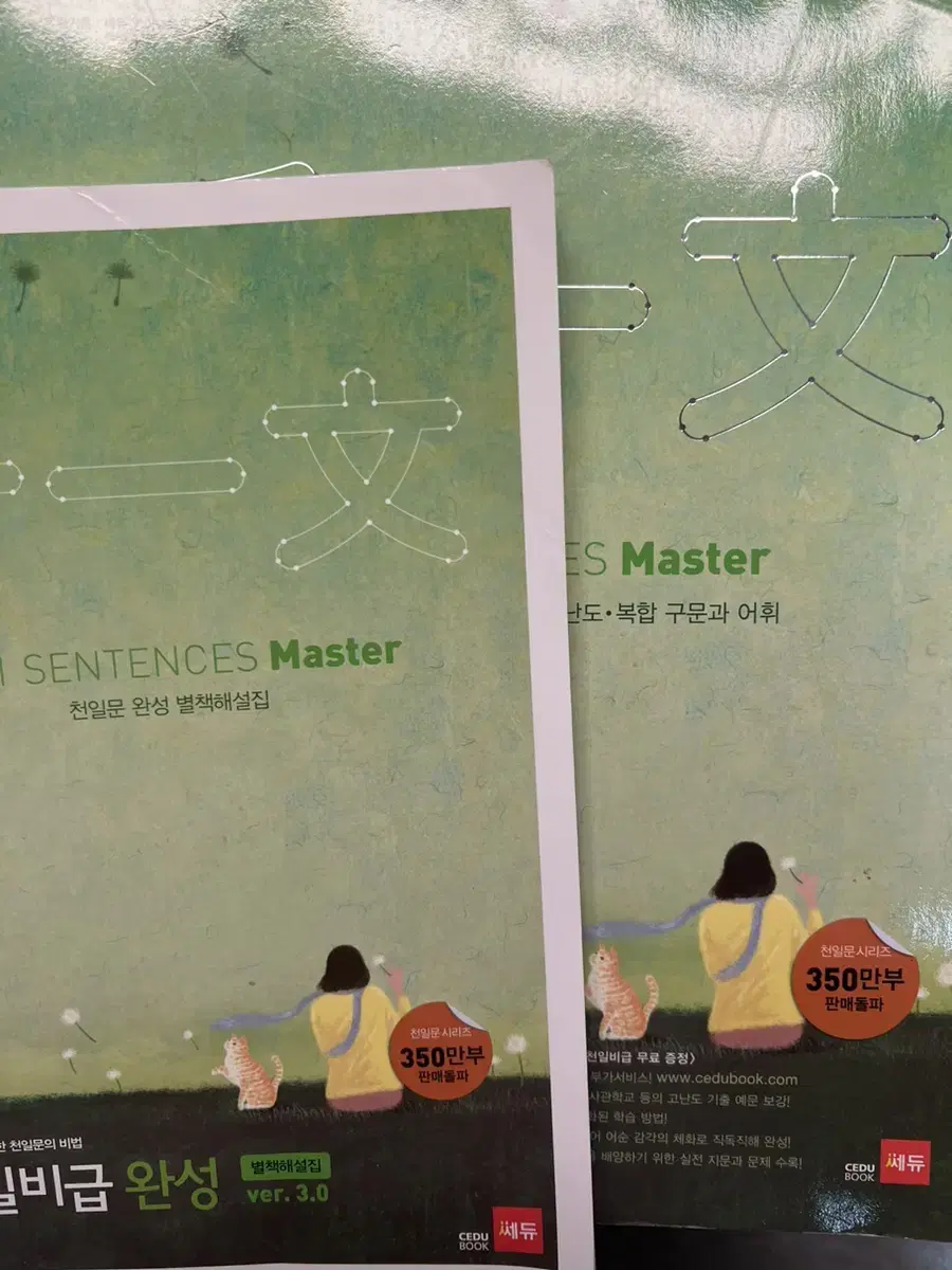 천일문 완성 마스터 버전3 master ver.3 팝니다