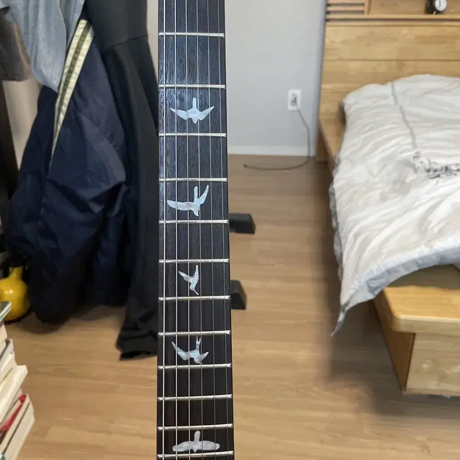 PRS se custom 24