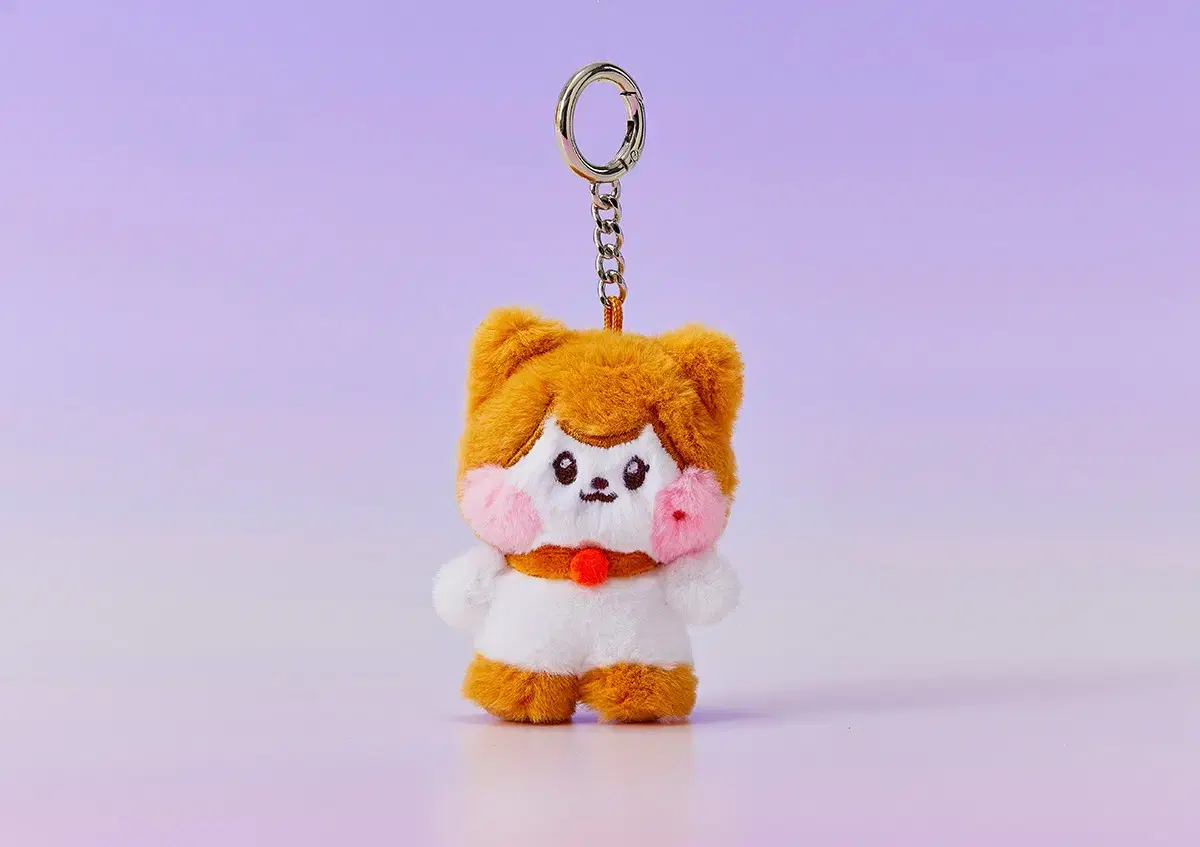 (Songs from 7/31)ive liz minnie plush keyring cheesy keyring