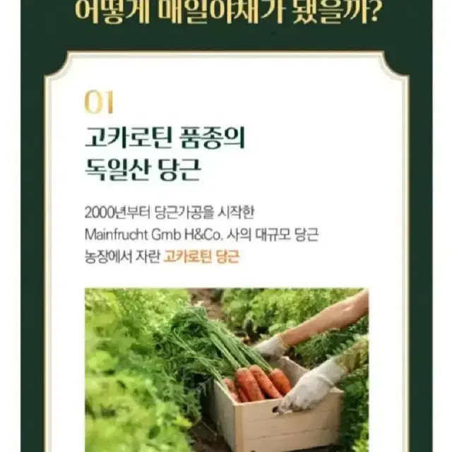 최저가수수료X매일야채고농축당근의힘125LX48개27990원