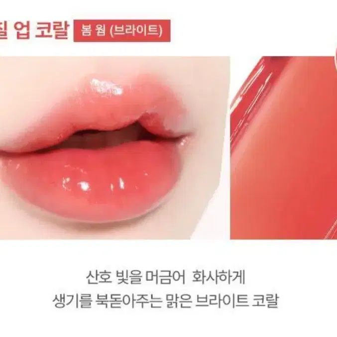 [새상품] 웨이크메이크 듀이 젤 글로우 틴트 칠업코랄 쿨리쉬체리