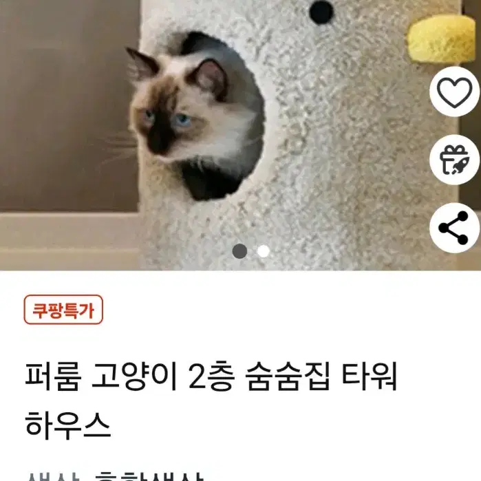 퍼룸캣 반려동물숨숨집