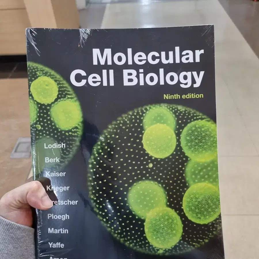 molecular cell biology