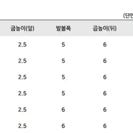 메리제인 통굽 로퍼 구두 대여 / 졸업사진