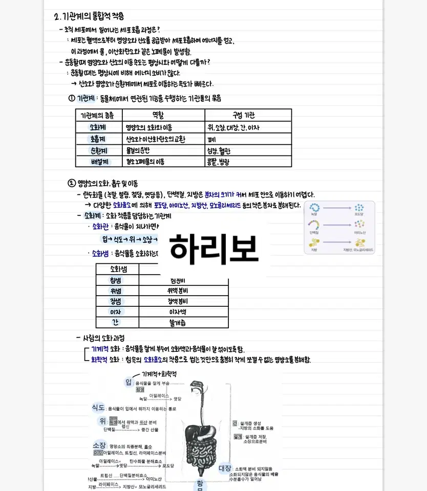 생명과학1 필기 고등학교 과탐