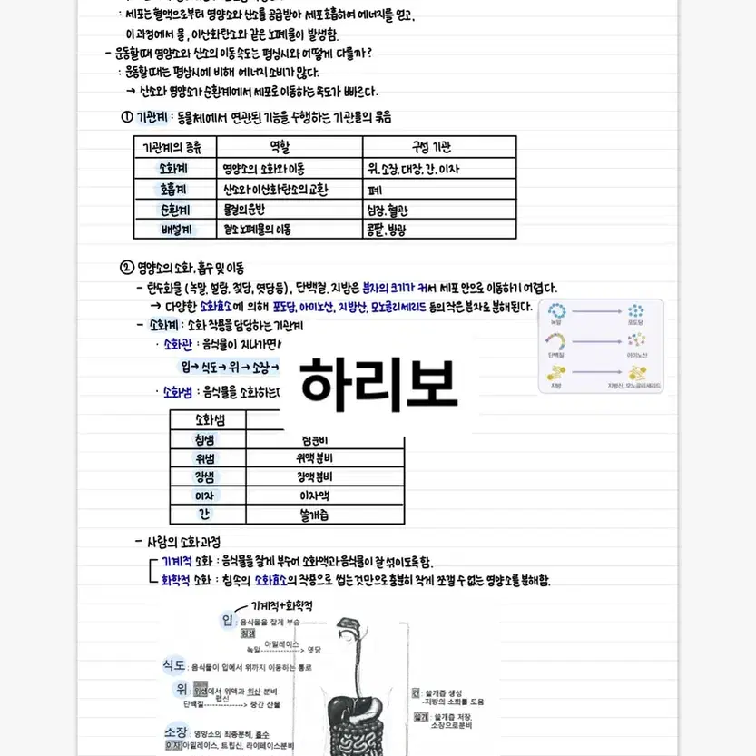 생명과학1 필기 고등학교 과탐