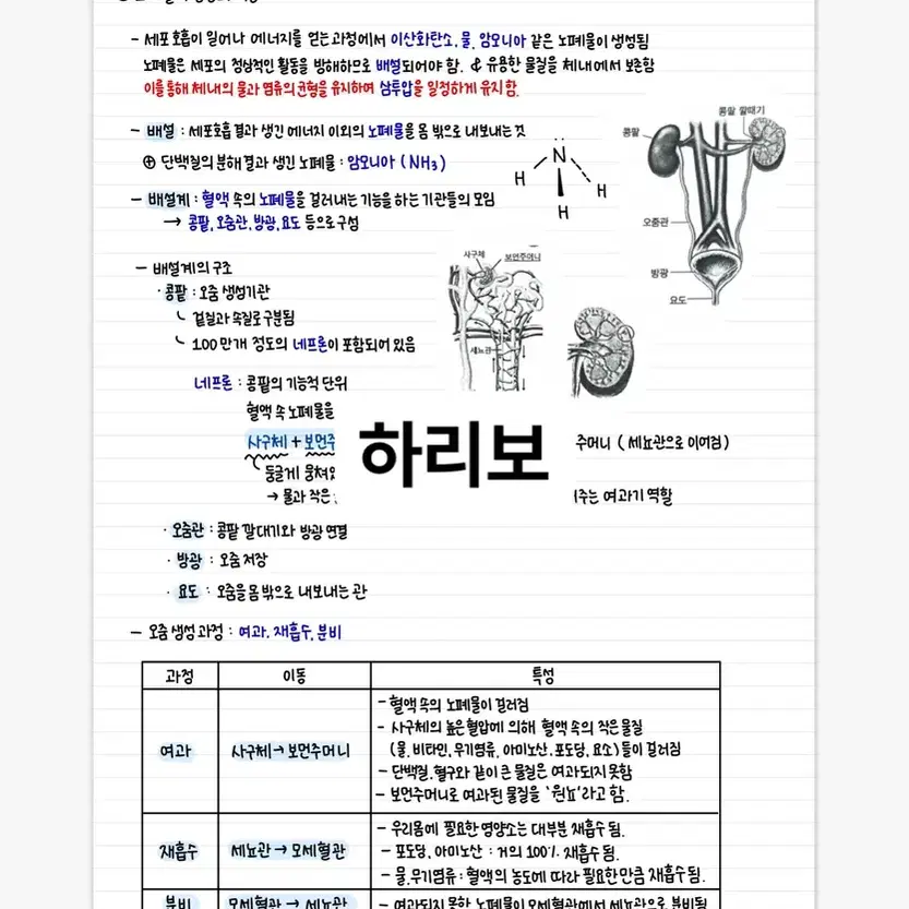 생명과학1 필기 고등학교 과탐