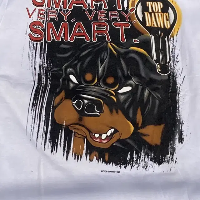 [103] vintage t-shirt (TOP DAWG)