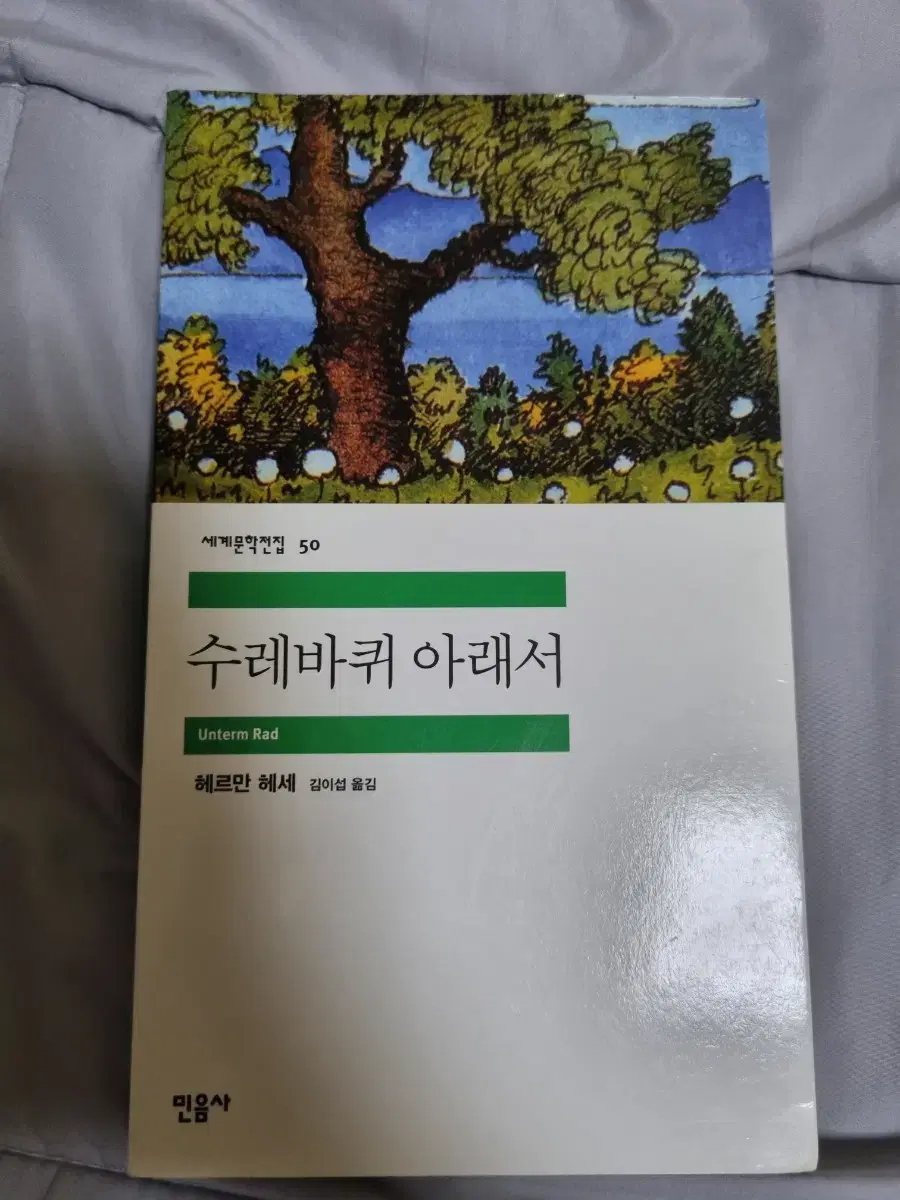 책, 도서) 헤르만헤세 - 수레바퀴 아래서