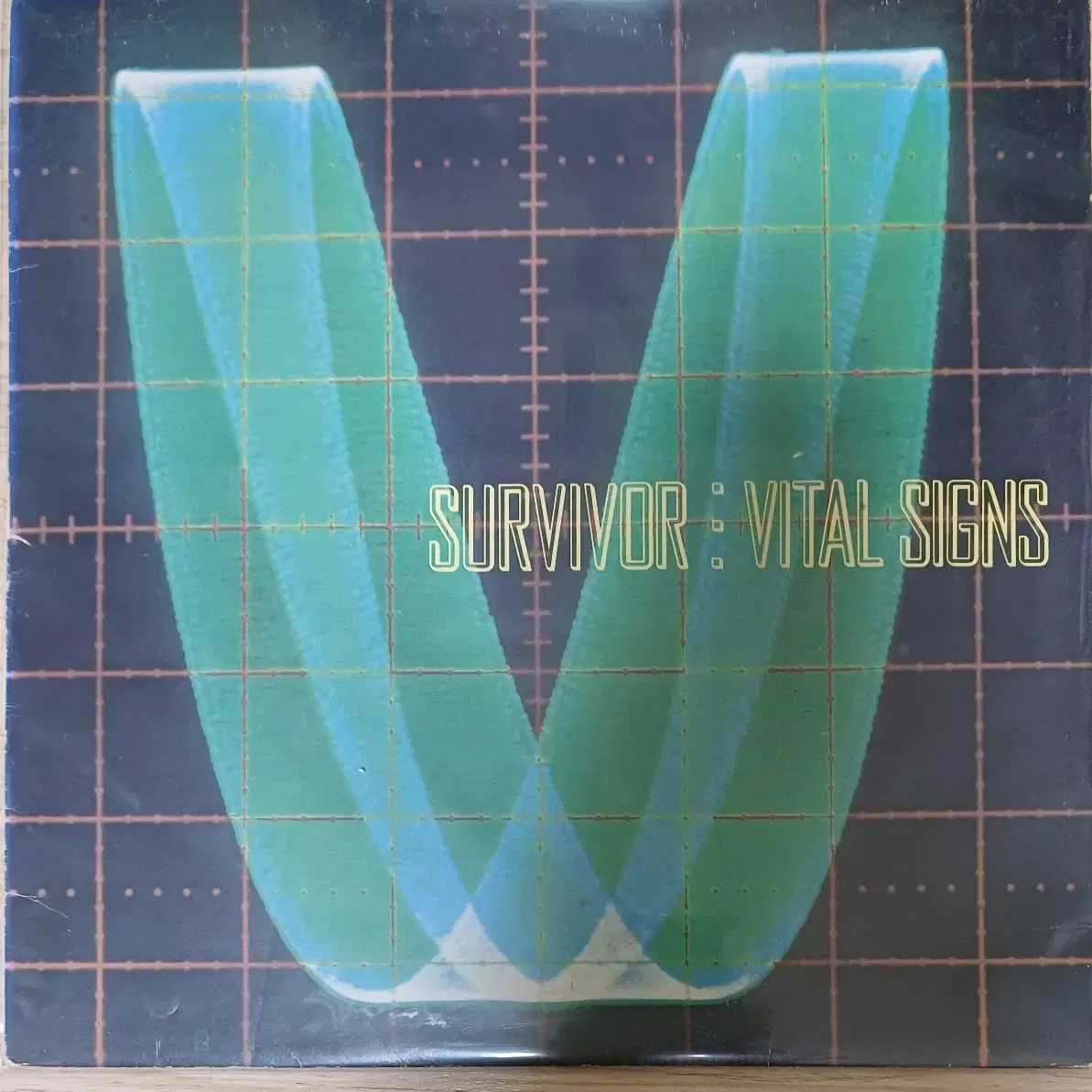 서바이버LP SURVIVOR VITAL SIGNS NM