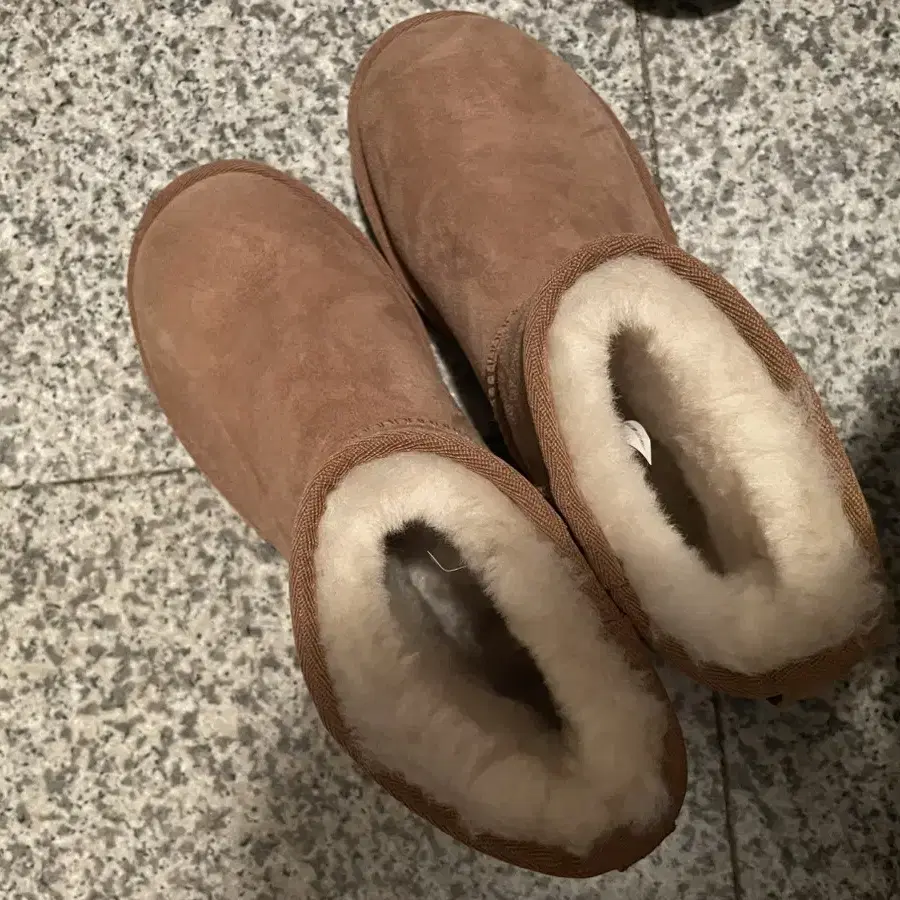 (W) UGG Classic Mini Boots