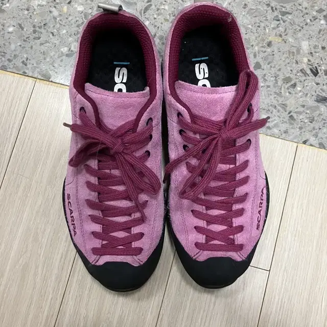 스카르파 Scarpa mogito rose GTX