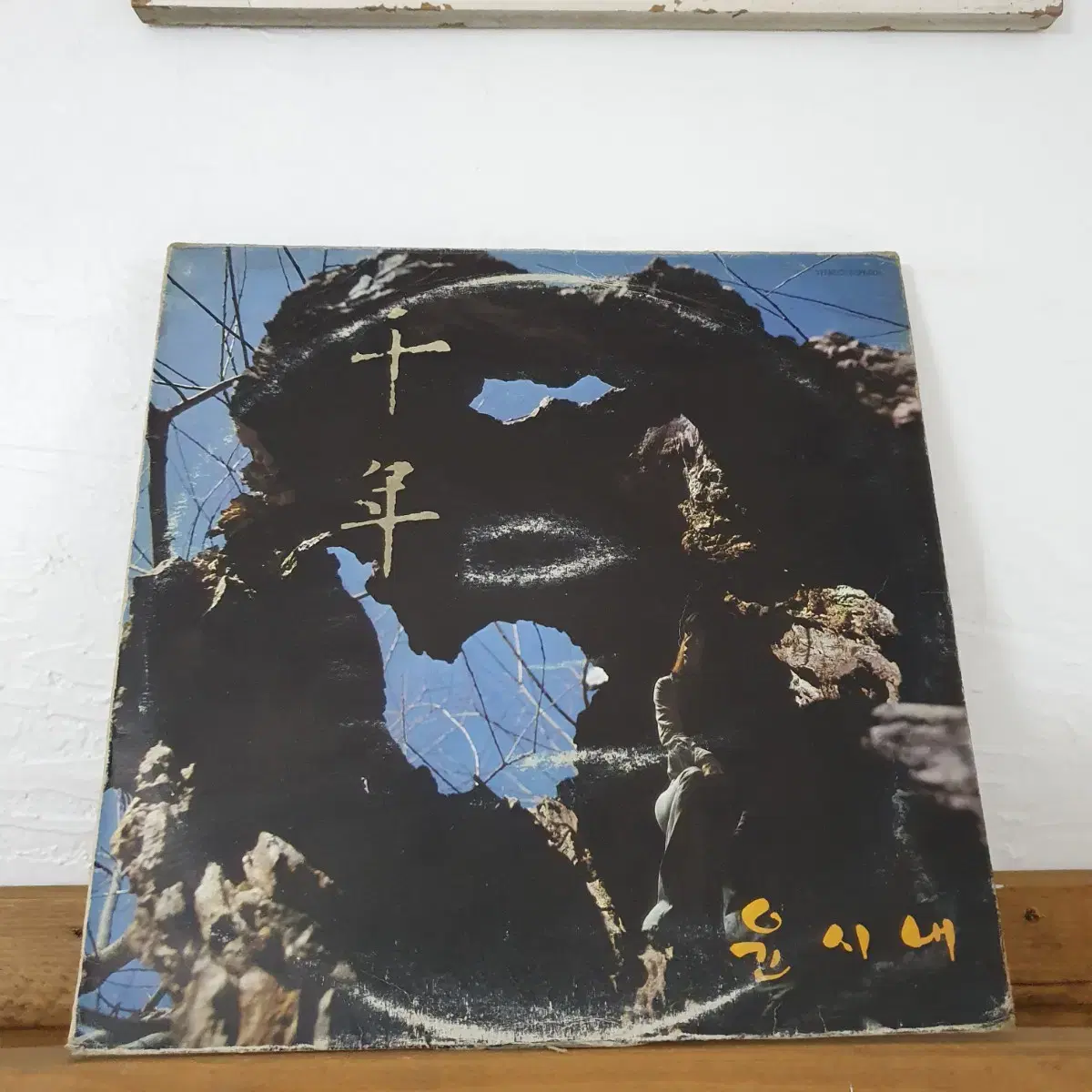 윤시내 독집 LP  1980    도시인    천년