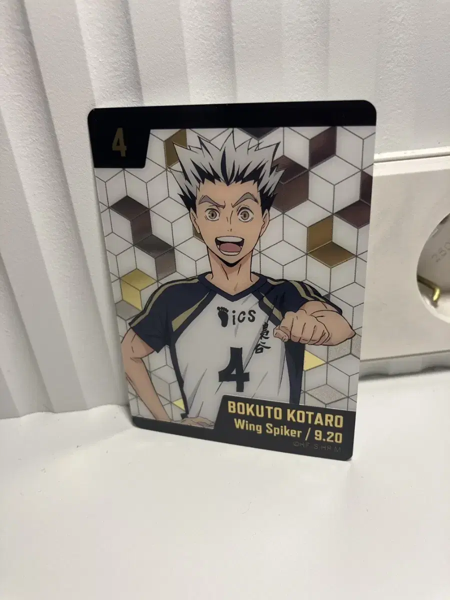 Bokuto Kotaro Metal Card