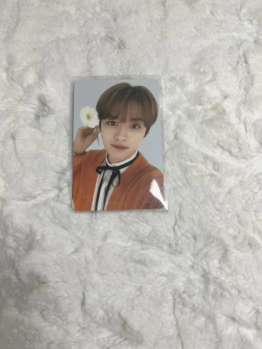 Reno Pacific 9th double-sided photo card photocard straykids