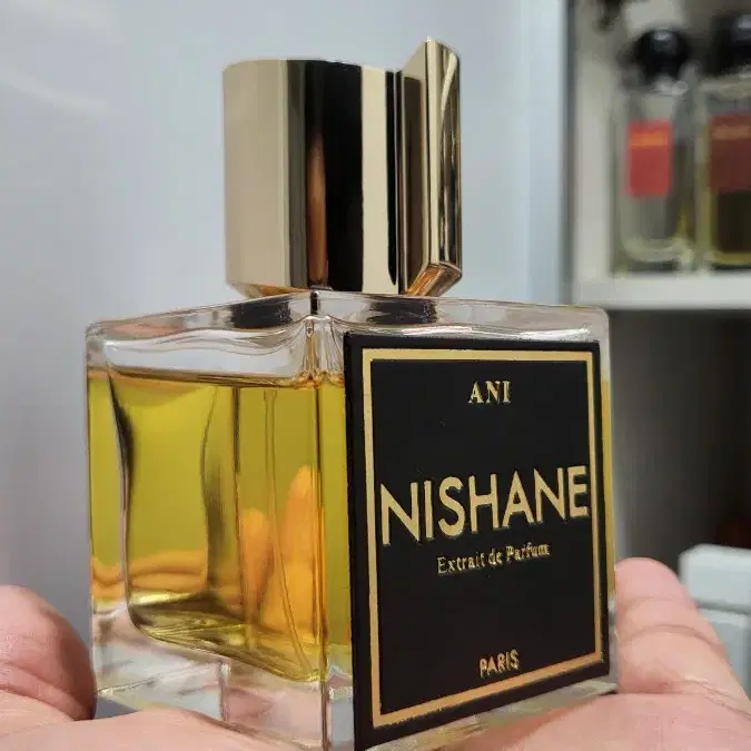 니샤네 아니 엑스뜨레 드 퍼퓸 100ml /Nishane ANI