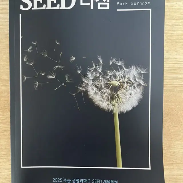 박선우 seed 다짐