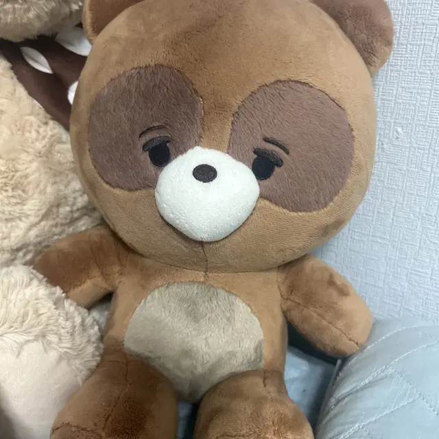 더보이즈 선우 인형 쪼구리 40cm