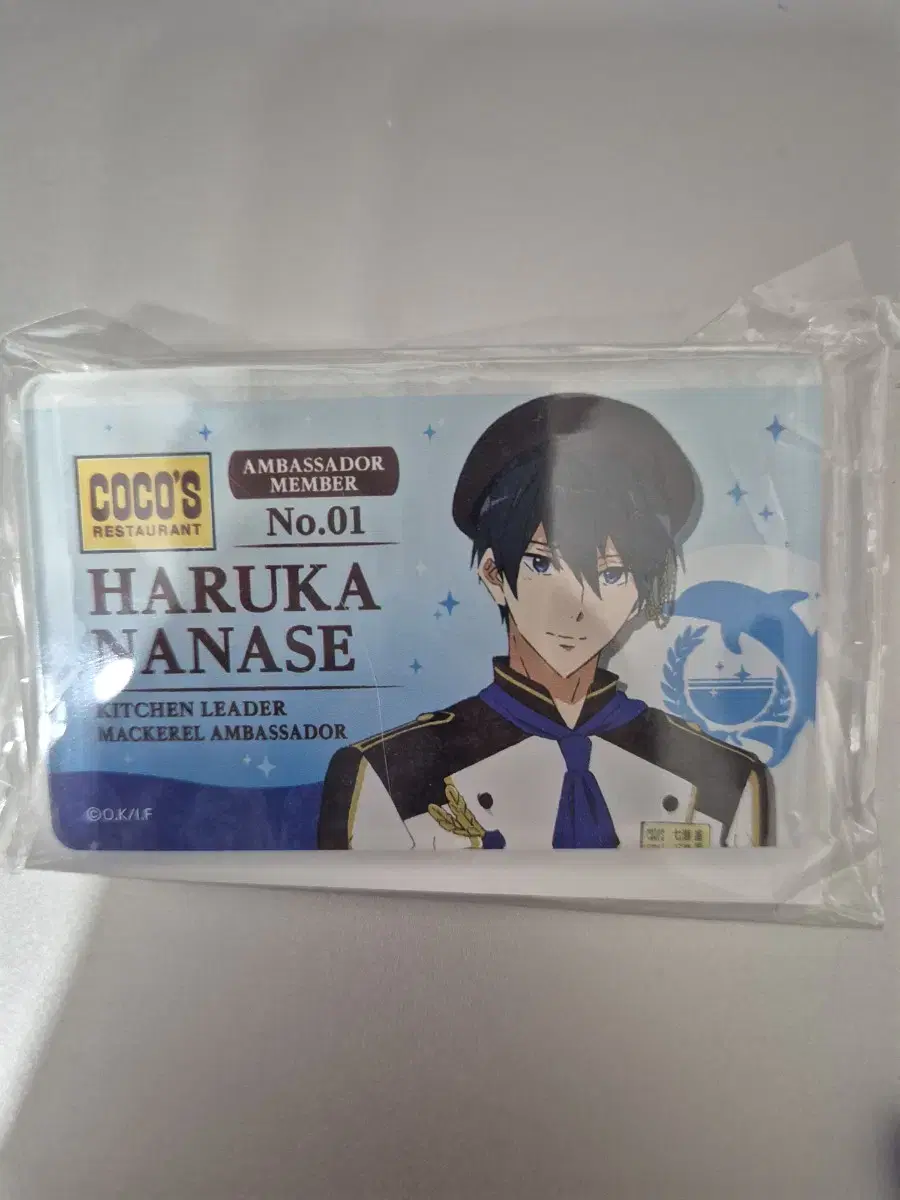 Free! Nayeon Seharuka Cocos Badge