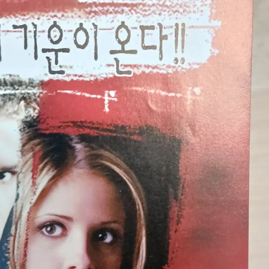 라이안필립 나는네가지난여름에한일을알고있다(1998년)전단지