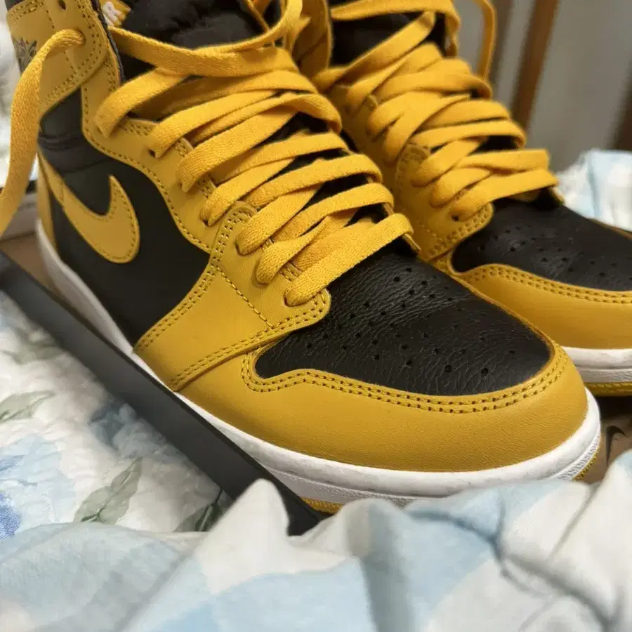 Jordan(조던) 1 Retro High OG pollen 265