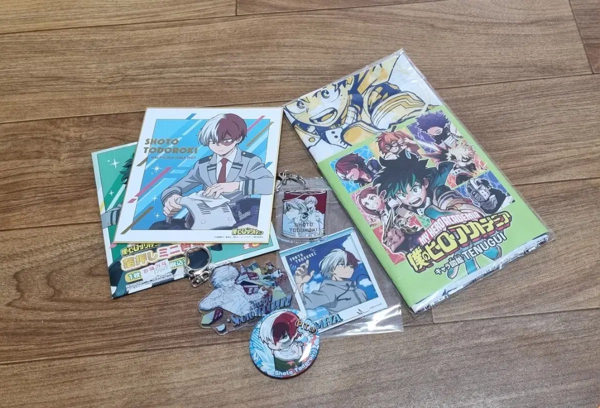 My Hero Academia (Hiroaka) Shoto Todoroki Goods in Bulk