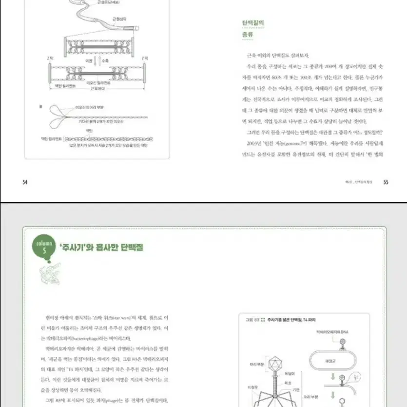 책 <단백질이 없으면 생명도 없다>