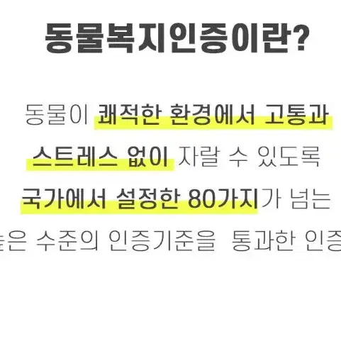 (초란30구) 청란 동물복지 유정란 무항생제 계란 초란 30구