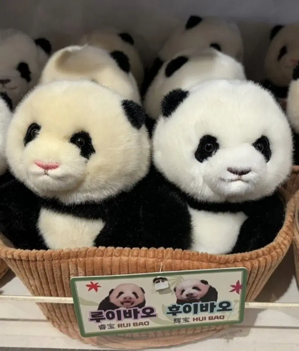 Lew Hui Dolls