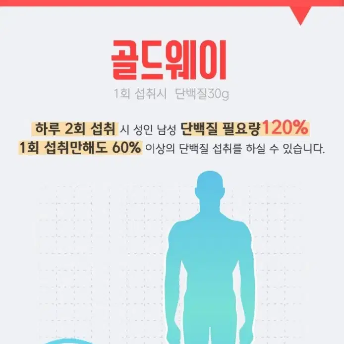 단백질 헬스보충제 중고급자 1.5kg wph 더머슬 골드웨이