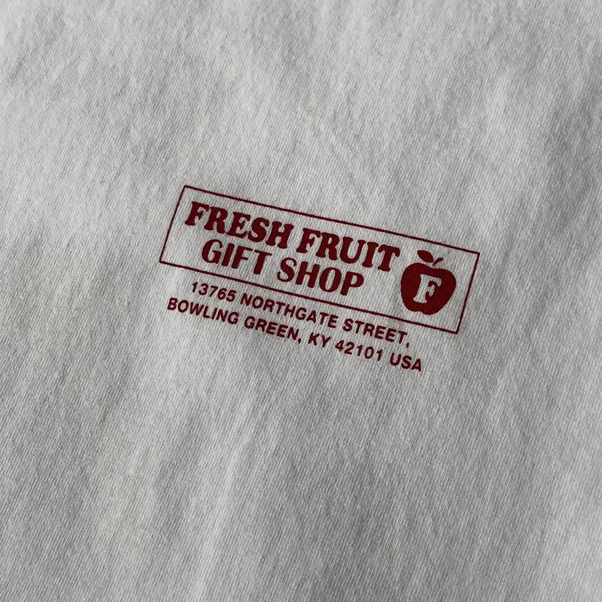 FRUIT OF THE LOOM cotton 100% T-shirt