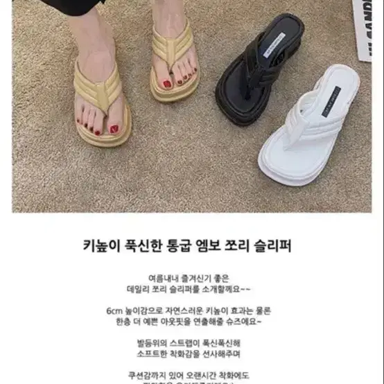 통굽쪼리 240