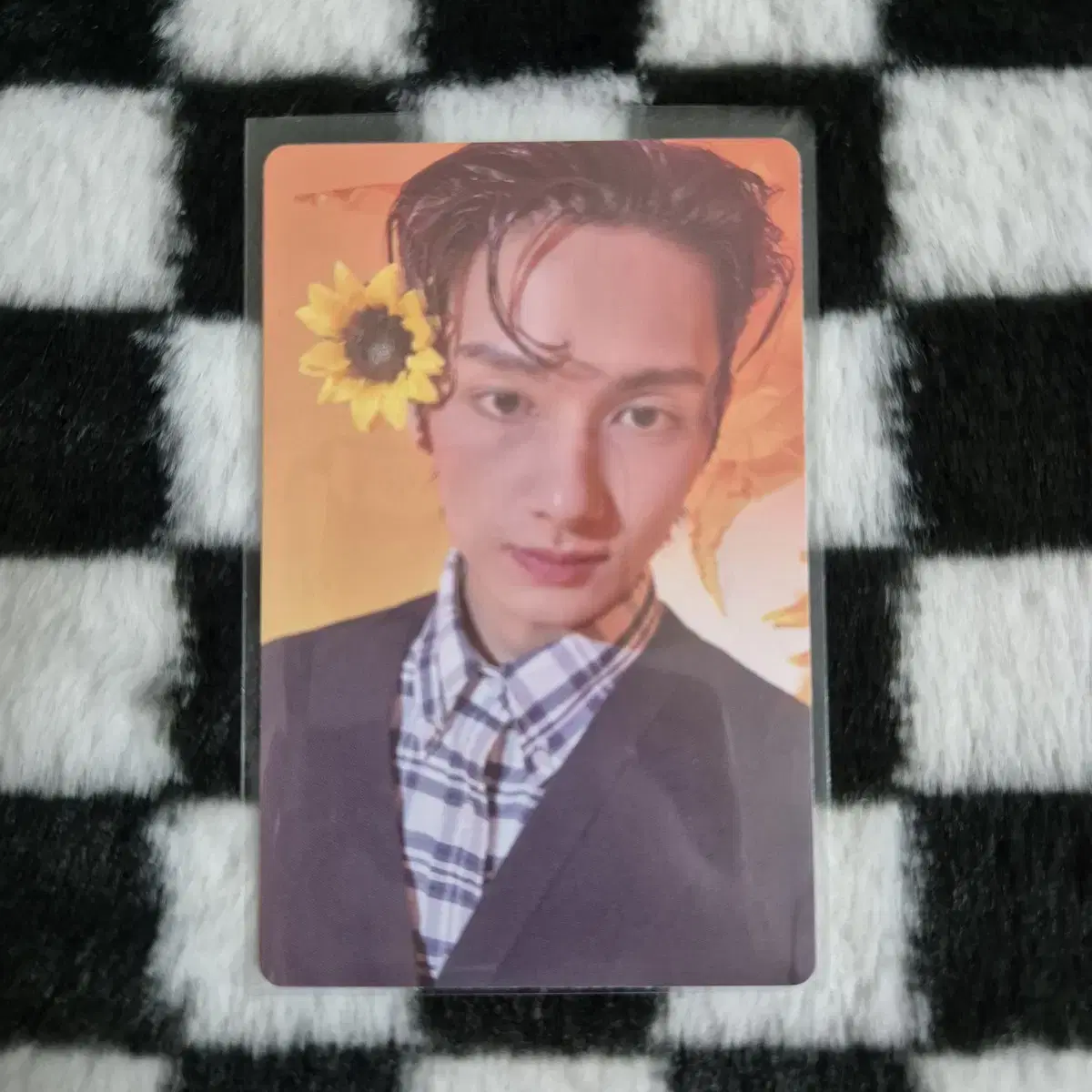 Seventeen jun photocard wts Maestro Bast album