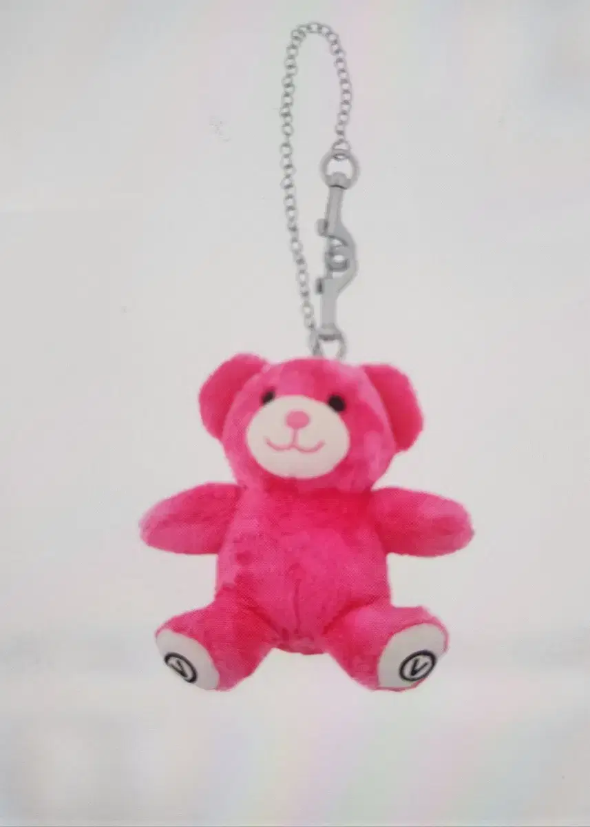 BTS 태형 V 베어 키링 bear Keyring 곰돌이 키링