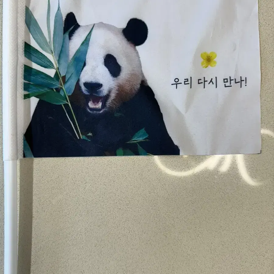 푸바오 깃발