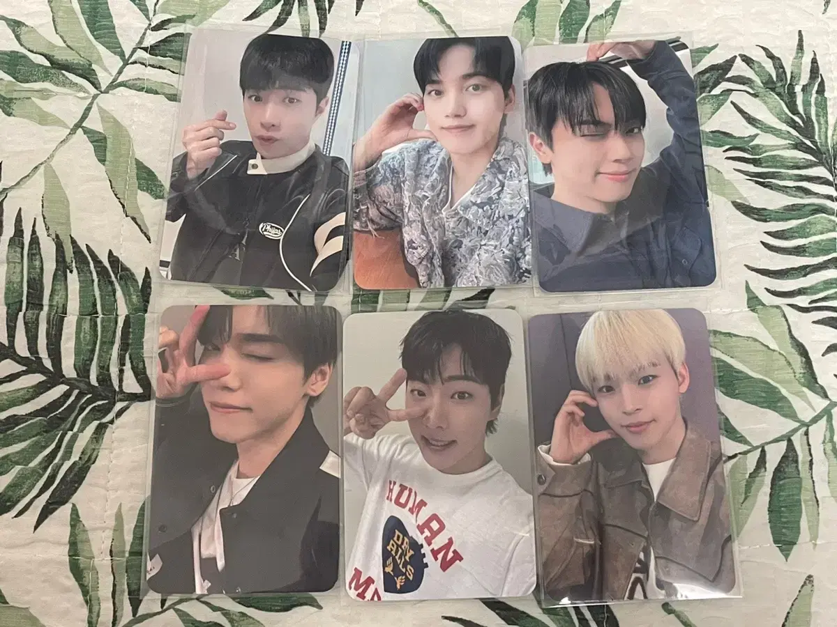 onf windy soundwave photocard bulk wts