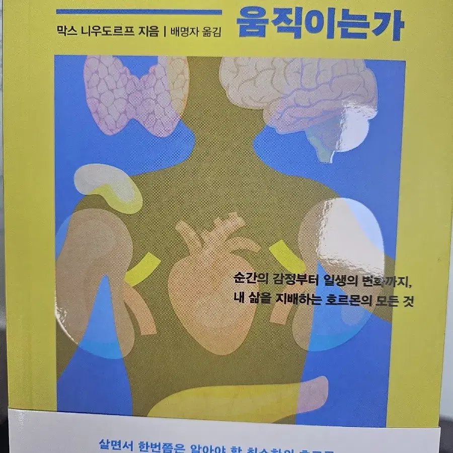 호르몬은 어떻게 나를 움직이는가