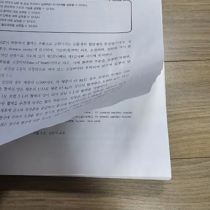 초음파검사학 2판/이옥경, 최선영, 윤형우/고려의학 - 새책: 필기없는