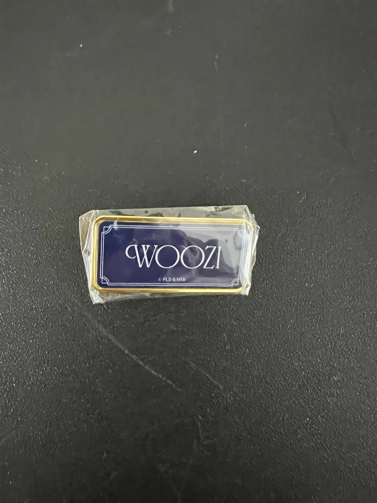 Seventeen Japan Museum woozi Pin Badge