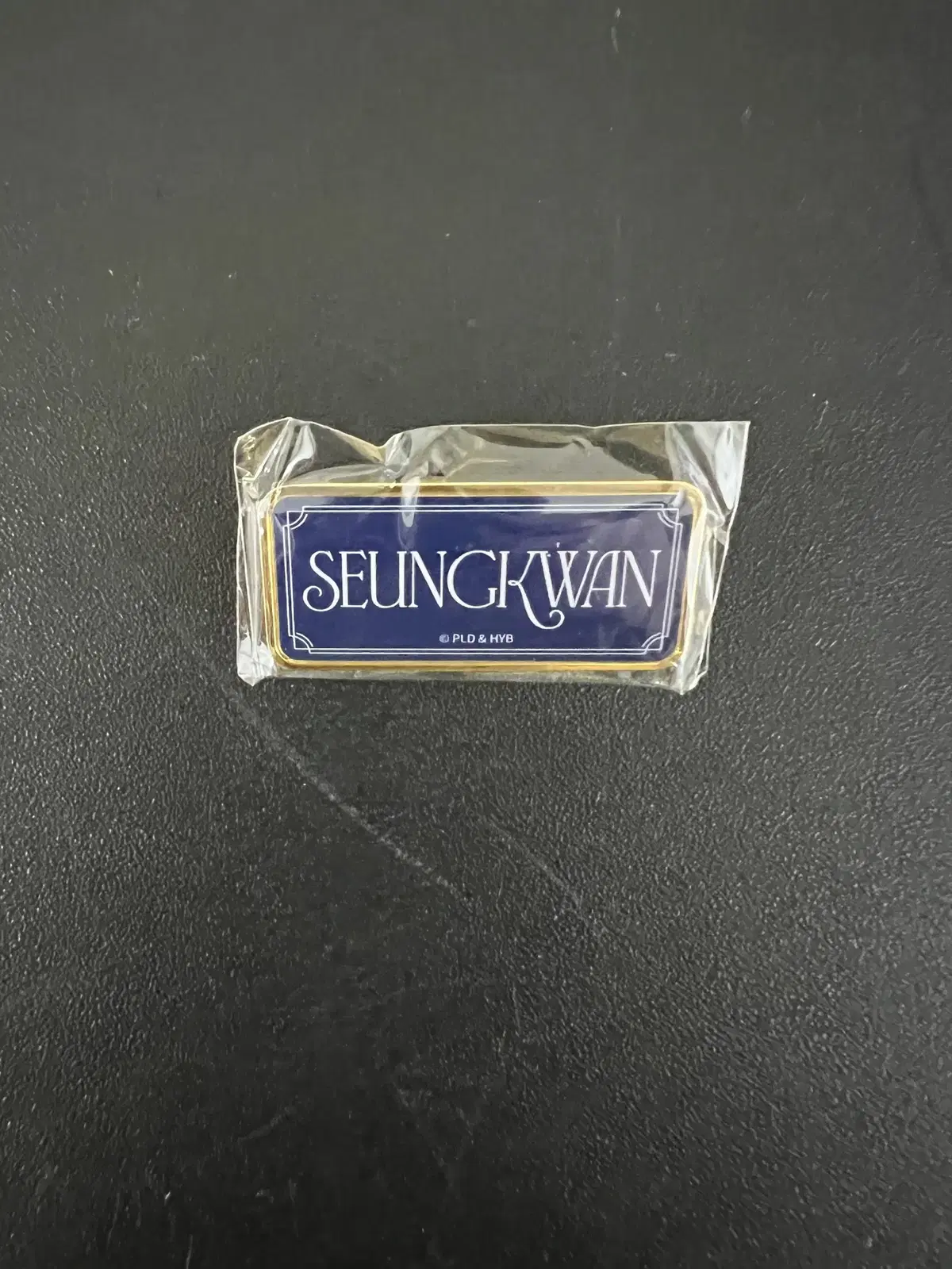 Seventeen Japan Museum seungkwan Pin Badge