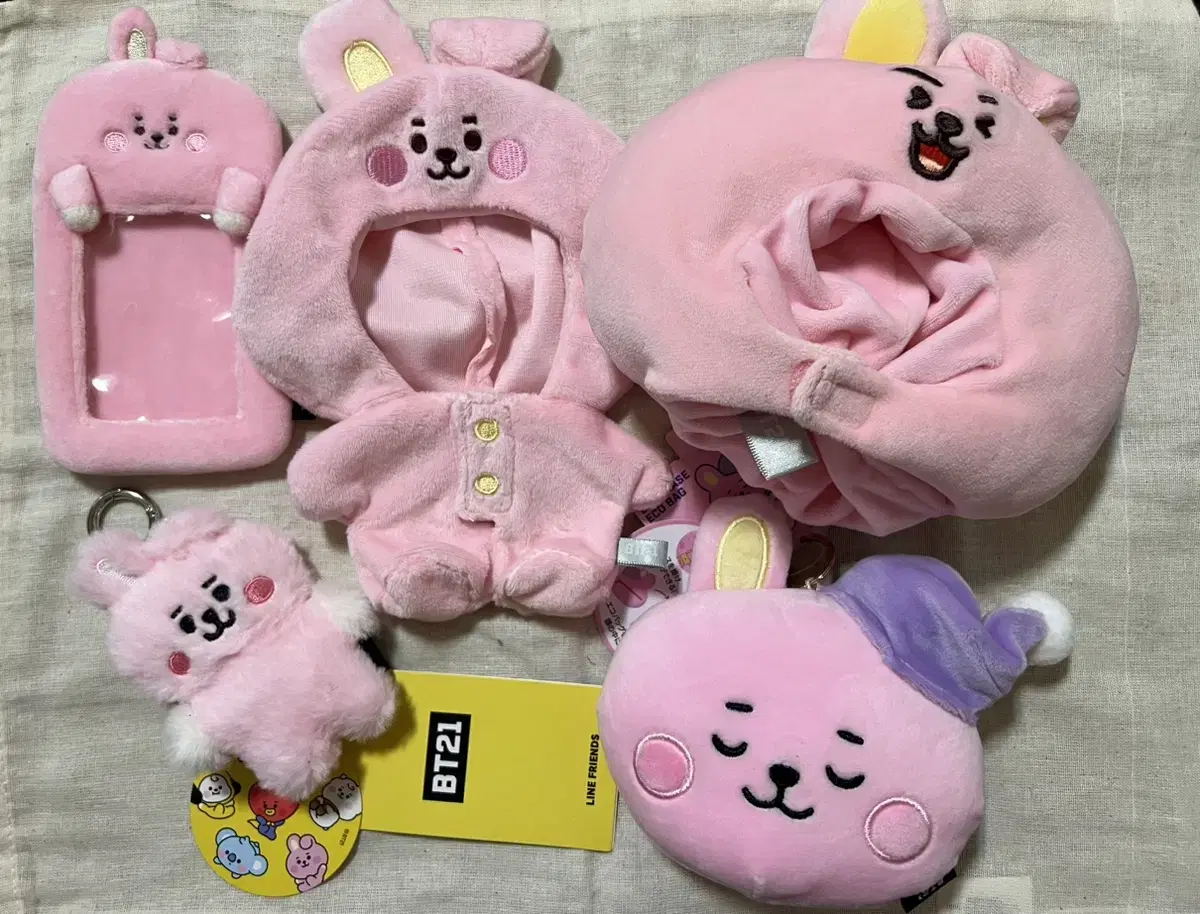 방탄소년단 BTS BT21 쿠키 코스튬 스터디 윗미 외