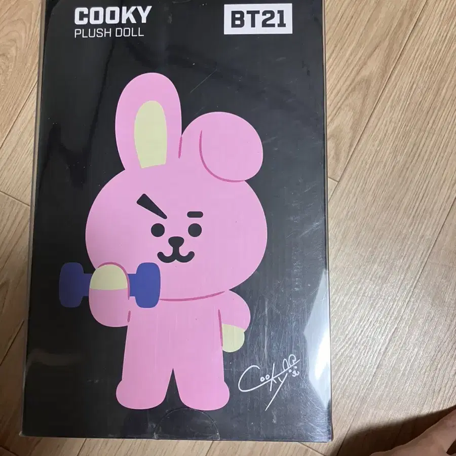 BT21 cooky 쿠키 스텐딩 인형