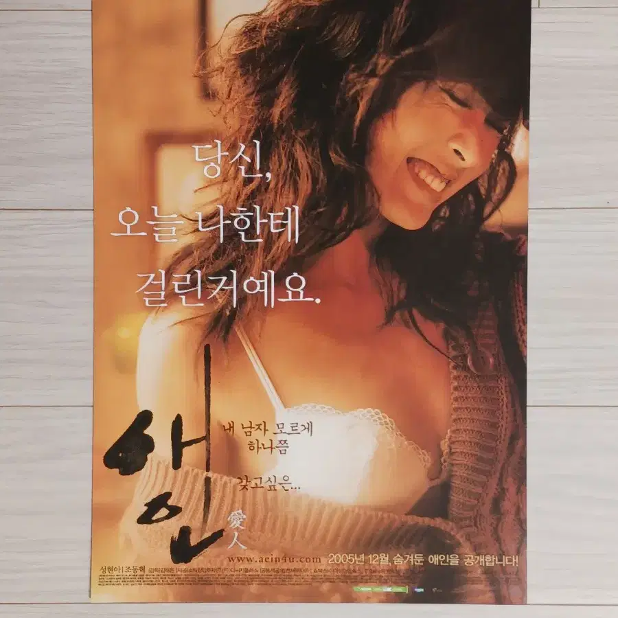 성현아 조동혁 애인(2005년)전단지