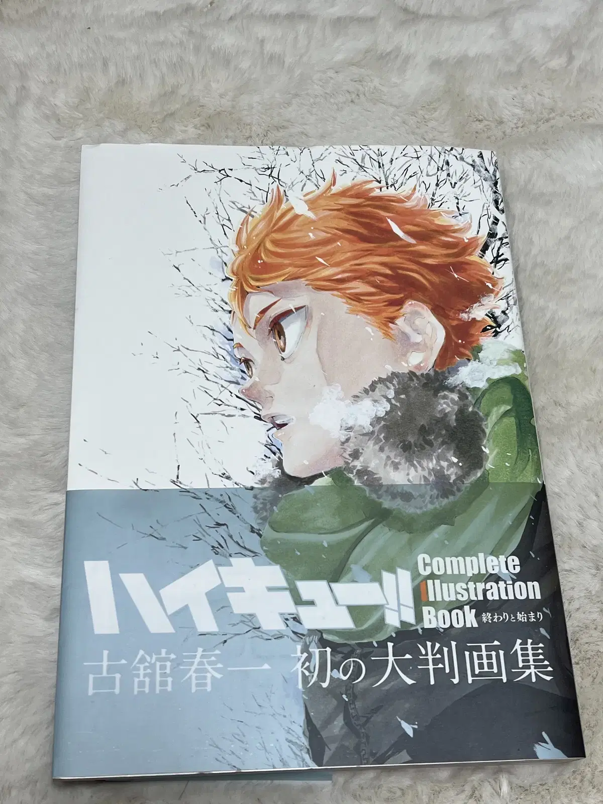 Haikyuu illustrated art books for sale!