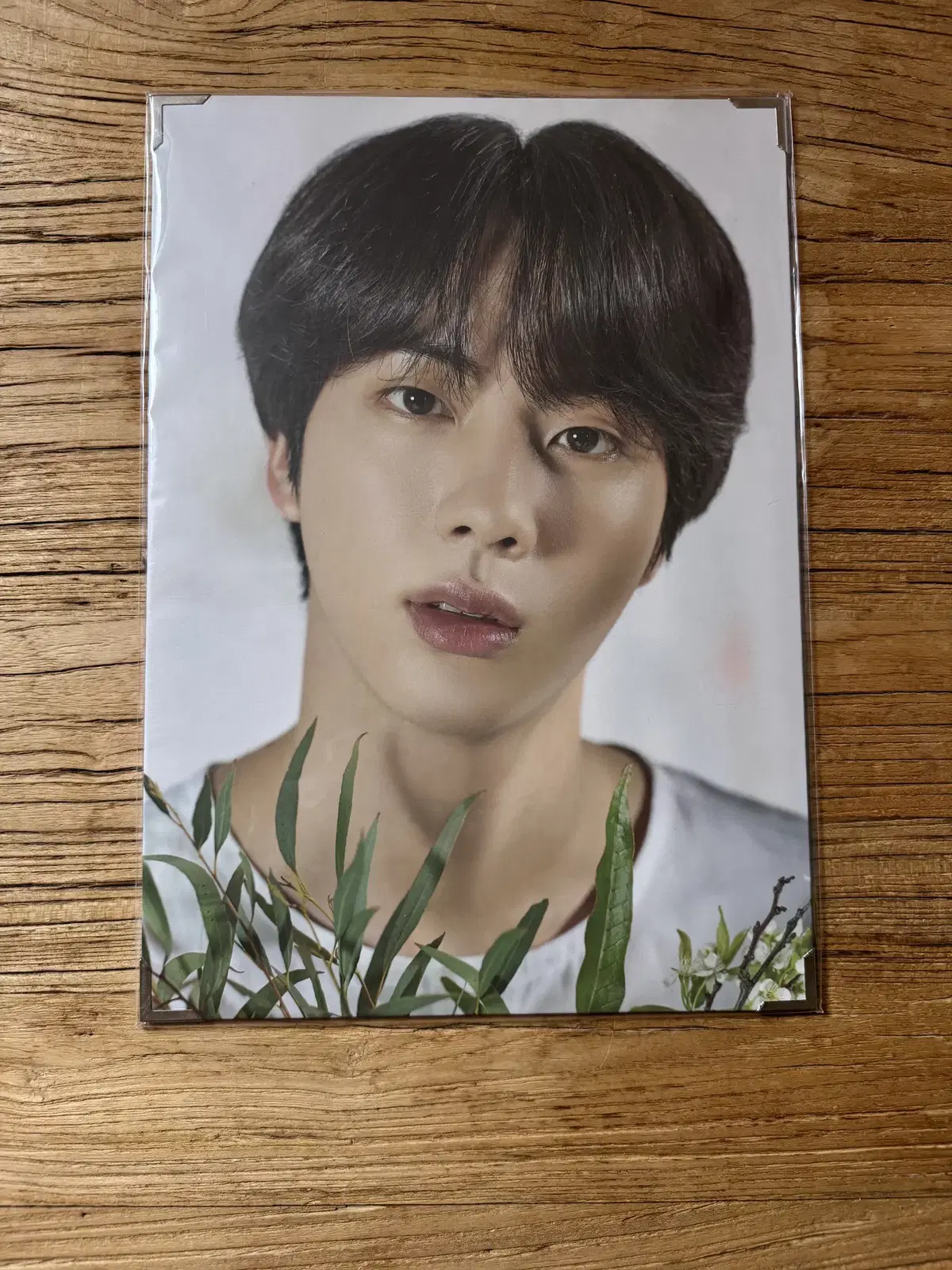 BTS Rubelcorn jin Premium Photo Unsealed