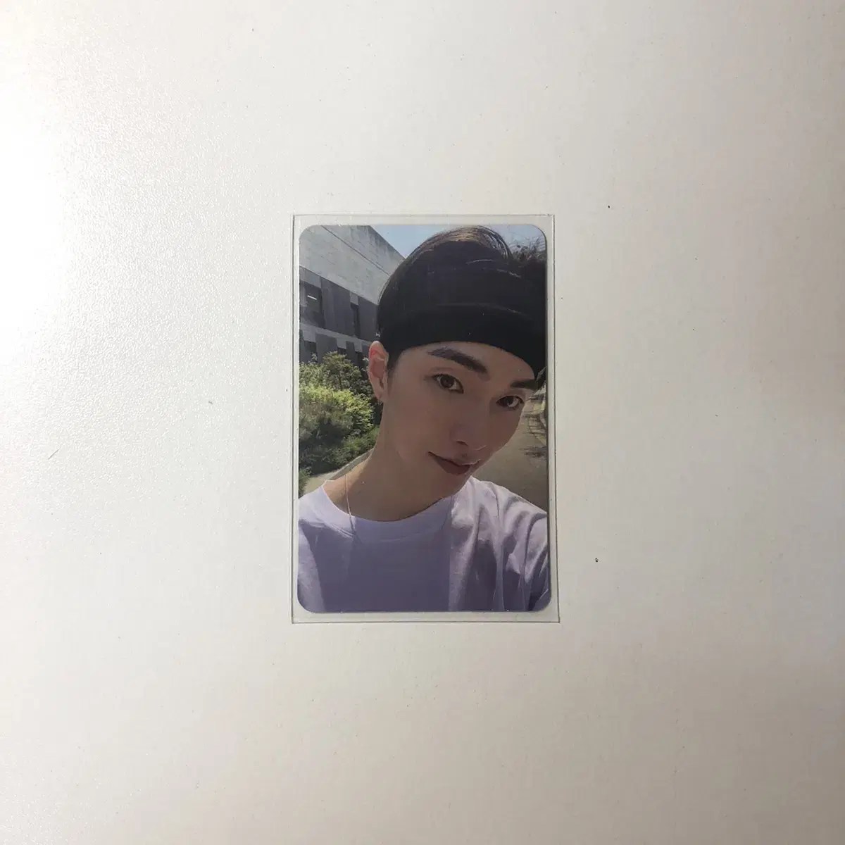 Rize seunghan alfor photocard