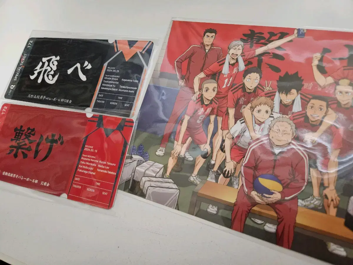 Haikyuu pre-order benefit Special Ticket + Group Photo